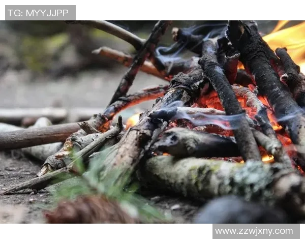 学会这些“续命”技术才可报名荒野求生